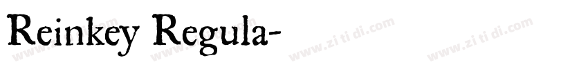 Reinkey Regula字体转换